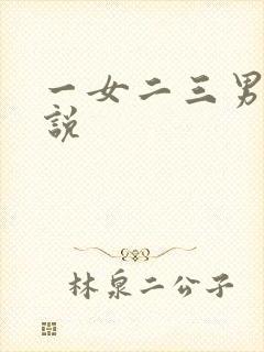 一女二三男事小说