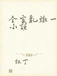 全家乱炖一锅烩小说