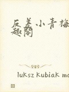 反差小青梅 笔趣阁