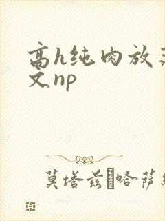 高h纯肉放荡h文np