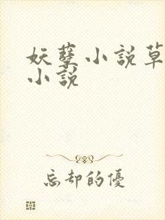 妖孽小说草莓酱小说
