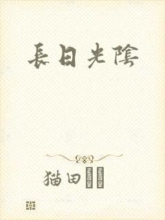 长日光阴