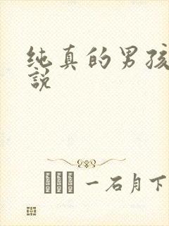 纯真的男孩子小说