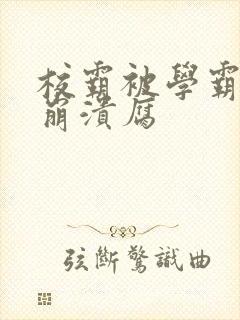 校霸被学霸玩到崩溃腐