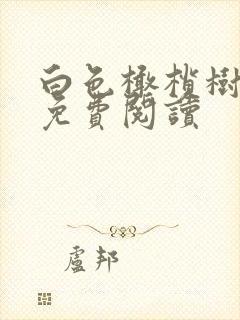 白色橄榄树全文免费阅读