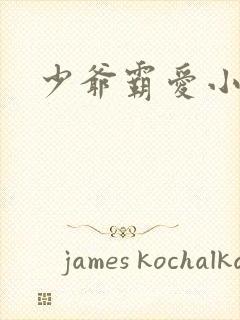 少爷霸爱小丫头