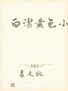 白洁黄色小说