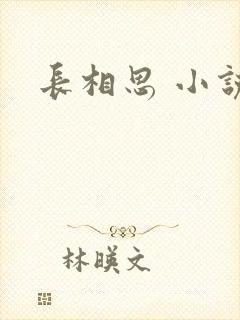 长相思 小说