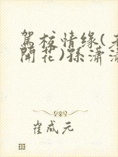 驾校情缘(老树开花)孙潇潇笔趣阁