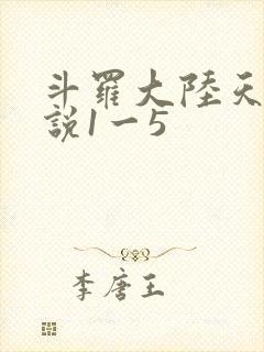 斗罗大陆天狂传说1一5