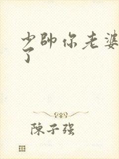 少帅你老婆又跑了