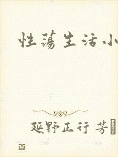 性荡生活小说