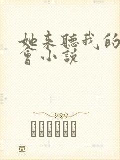 她来听我的演唱会小说