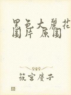 黑色大丽花真实图片 原图