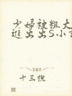 少妇被粗大猛进进出出S小说