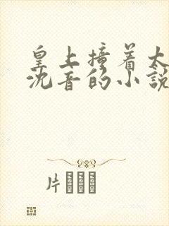 皇上撞着太子妃沈音的小说叫什么