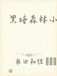 黑暗森林小说