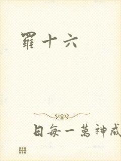 罗十六