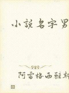 小说名字男生