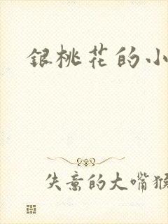 银桃花的小说