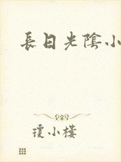 长日光阴小说