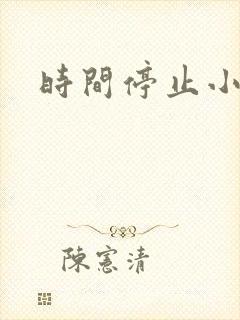 时间停止小说
