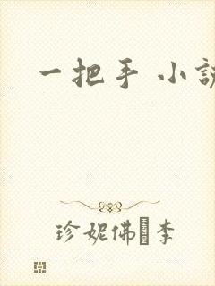 一把手 小说
