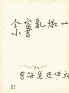 全家乱炖一锅烩小书