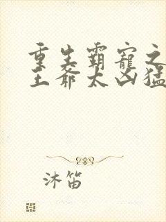 重生霸宠之摄政王爷太凶猛