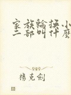 家族轮换小说第二部叫什么名字