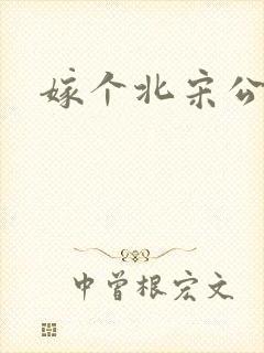 嫁个北宋公务员