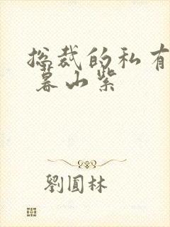 总裁的私有宝贝 暮山紫