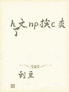 h文np挨c爽了