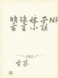 明珠娘子NPC古言小说