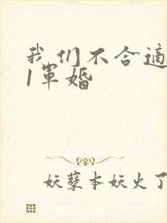 我们不合适1v1军婚