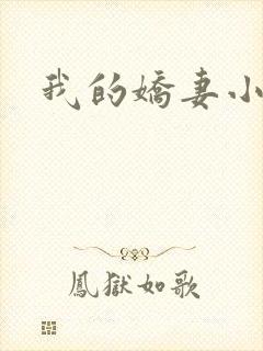 我的娇妻小说