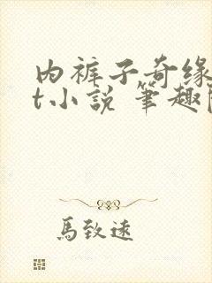 内裤子奇缘txt小说 笔趣阁