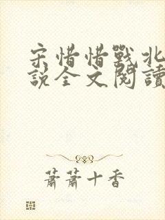 宋惜惜战北望小说全文阅读