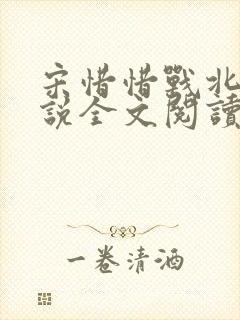 宋惜惜战北望小说全文阅读