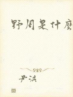 野周是什么意思