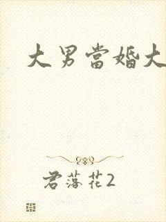 大男当婚大结局