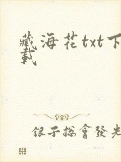 藏海花txt下载
