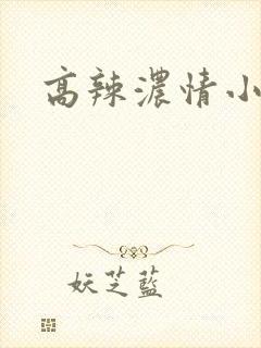 高辣浓情小说