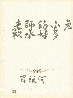 老师的小兔子好软水好多