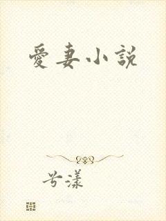 爱妻小说