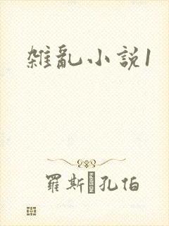 杂乱小说1