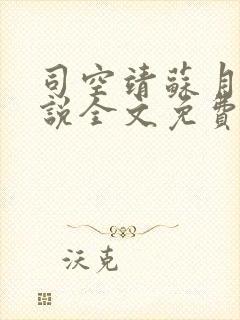 司空靖苏月汐小说全文免费阅读