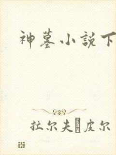 神墓小说下载
