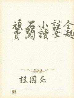 顽石小说全文免费阅读笔趣阁