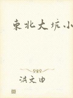 东北大坑小说